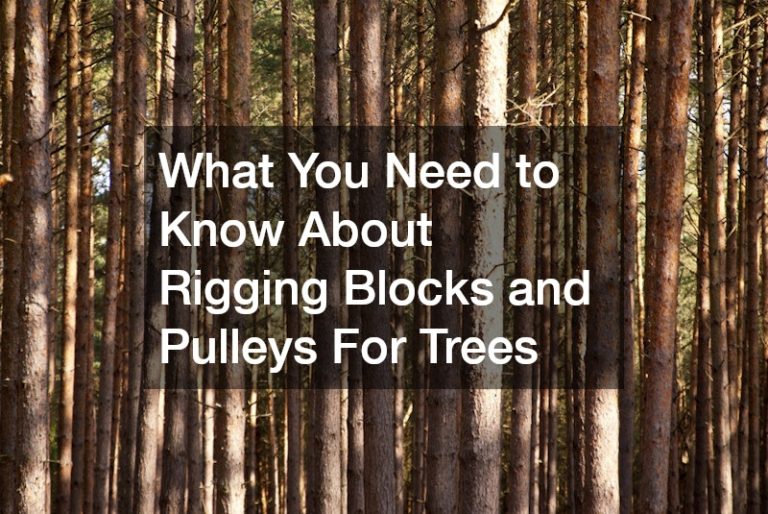 What You Need to Know About Rigging Blocks and Pulleys For Trees ...