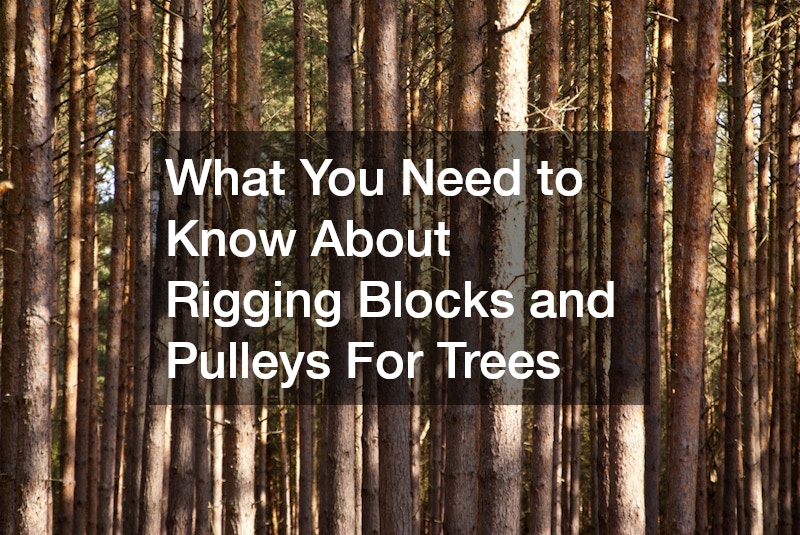 What You Need to Know About Rigging Blocks and Pulleys For Trees